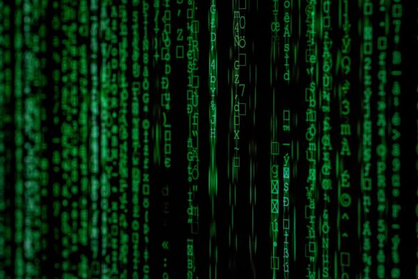 AI 시대, 코딩은 쉬워져도 개발자가 사라지지 않는 이유